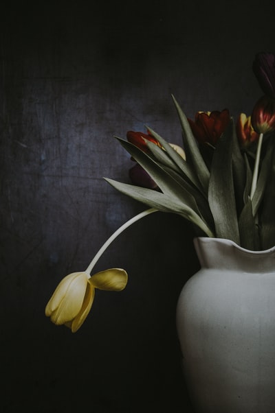 墙上花瓶上的红色和黄色郁金香花